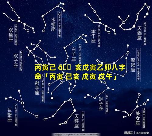 丙寅己 🐠 亥戊寅乙卯八字命「丙寅 己亥 戊寅 戊午」